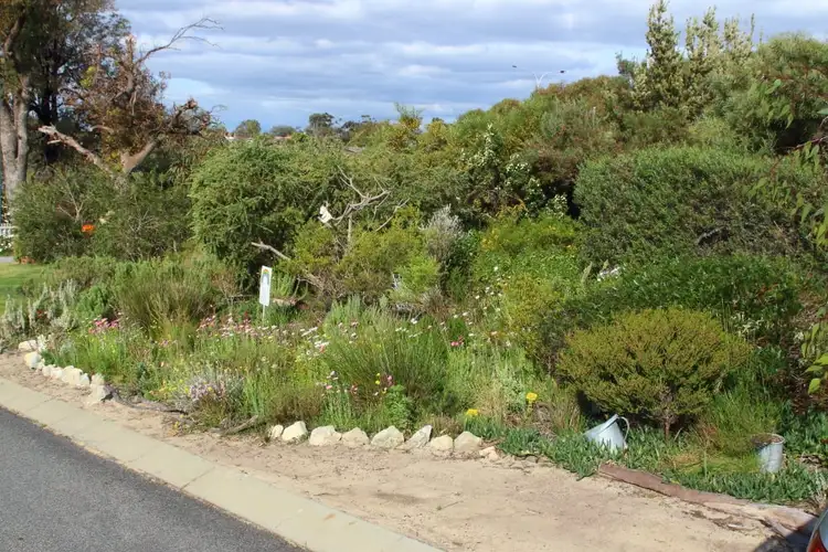 Fifth view of Homely house listing, 41 Seaflower Crescent, Craigie WA 6025