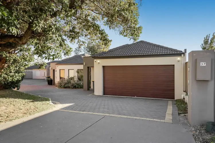 Main view of Homely house listing, 37c Chichester Way, Nollamara WA 6061