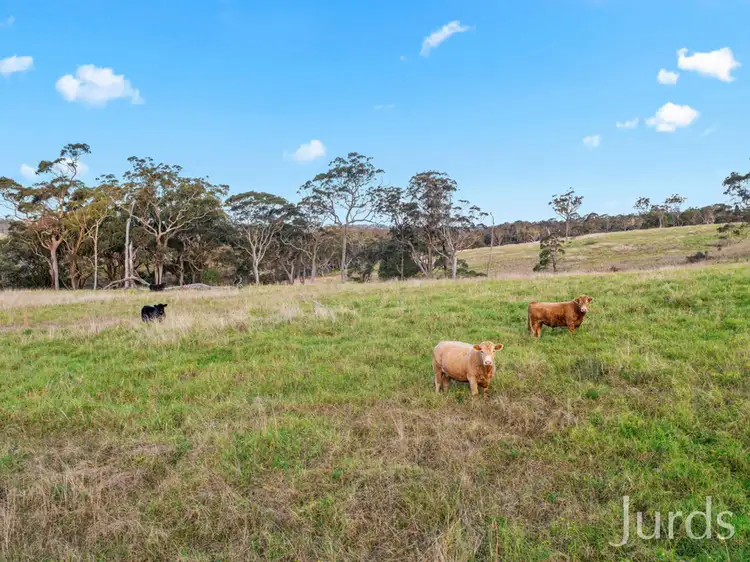 Sixth view of Homely rural property listing, 2/1500 Ironbark Road, Mangrove Mountain NSW 2250