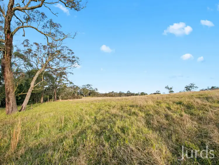 Seventh view of Homely rural property listing, 301 Ironbark Road, Mangrove Mountain NSW 2250