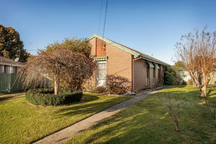 Main view of Homely house listing, 7 Sutton Court, Wodonga VIC 3690