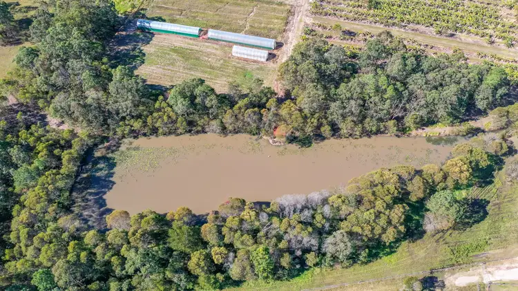 Fifth view of Homely house listing, 98 Montanus Drive, Woodford QLD 4514