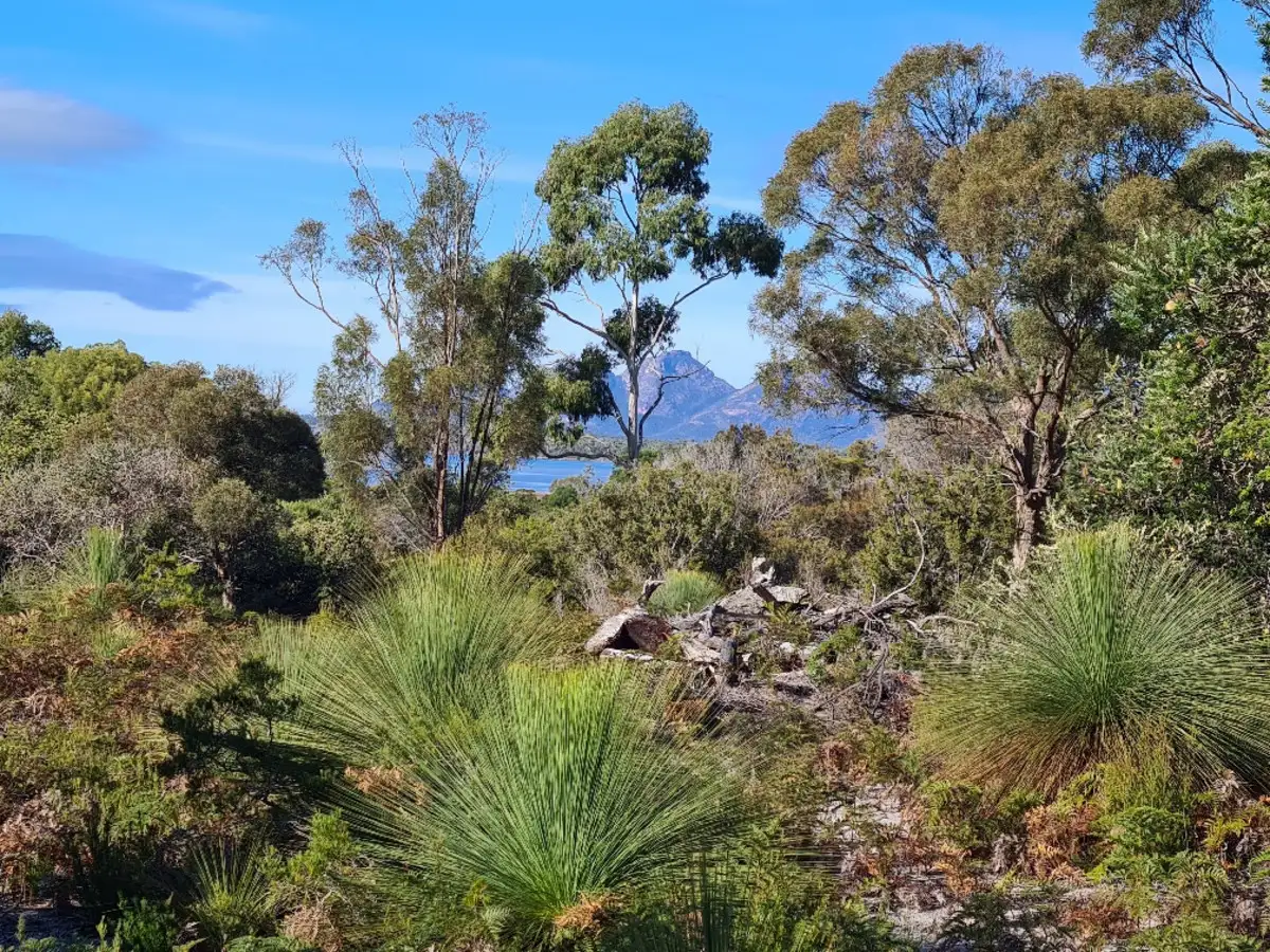 Main view of Homely land listing, LOT 100 Flacks Road, Coles Bay TAS 7215