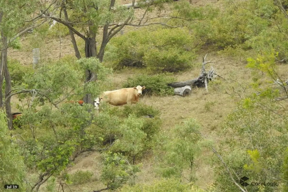 Main view of Homely rural property listing, LOT 39 Rocky Gully Road, Emu Creek QLD 4355