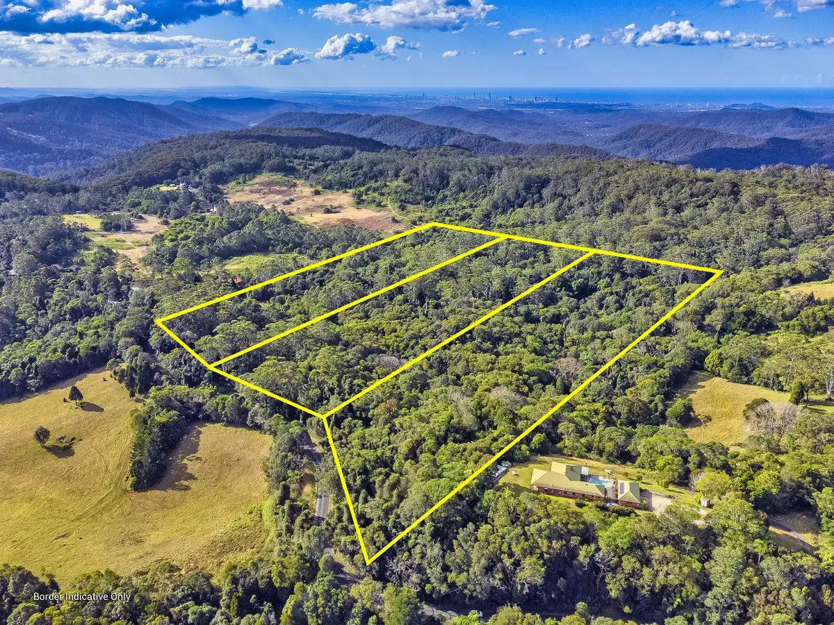 Main view of Homely land listing, 2461 Springbrook Road, Springbrook QLD 4213