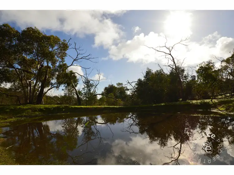 Second view of Homely rural property listing, 38 Trevilla Road, Humbug Scrub SA 5114