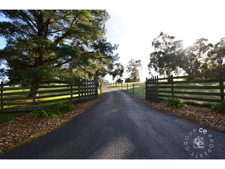 Fourth view of Homely rural property listing, 38 Trevilla Road, Humbug Scrub SA 5114