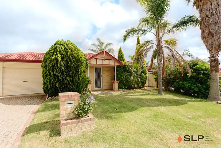 39 Mint Circuit, Banksia Grove WA 6031