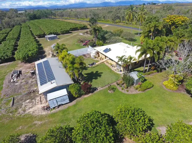 460 Springs Road, Paddys Green QLD 4880
