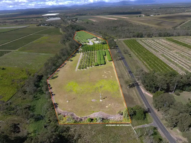 Second view of Homely house listing, 460 Springs Road, Paddys Green QLD 4880
