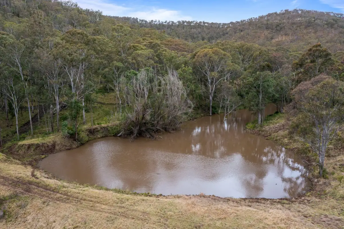 Main view of Homely rural property listing, 262 Hendrie Road, Upper Pilton QLD 4361