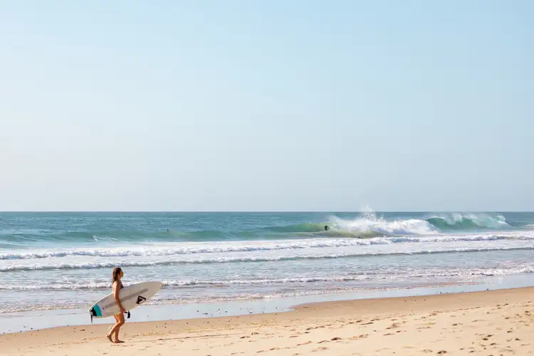 1 Firetail Court, Wurtulla QLD 4575