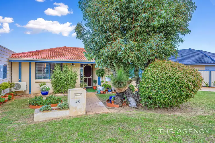 36 Quickly Crescent, Hamilton Hill WA 6163