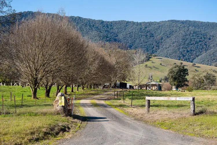 Fifth view of Homely rural property listing, 365 Mullagong Road, Upper Gundowring VIC 3691
