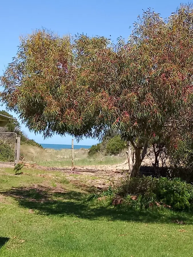 Second view of Homely house listing, 344 Dolphin Sands Road, Dolphin Sands TAS 7190