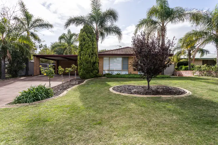 Main view of Homely house listing, 12 Selwyn Rise, Greenfields WA 6210