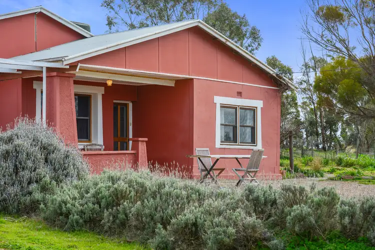Main view of Homely house listing, 54 Smith Road, Leasingham SA 5452