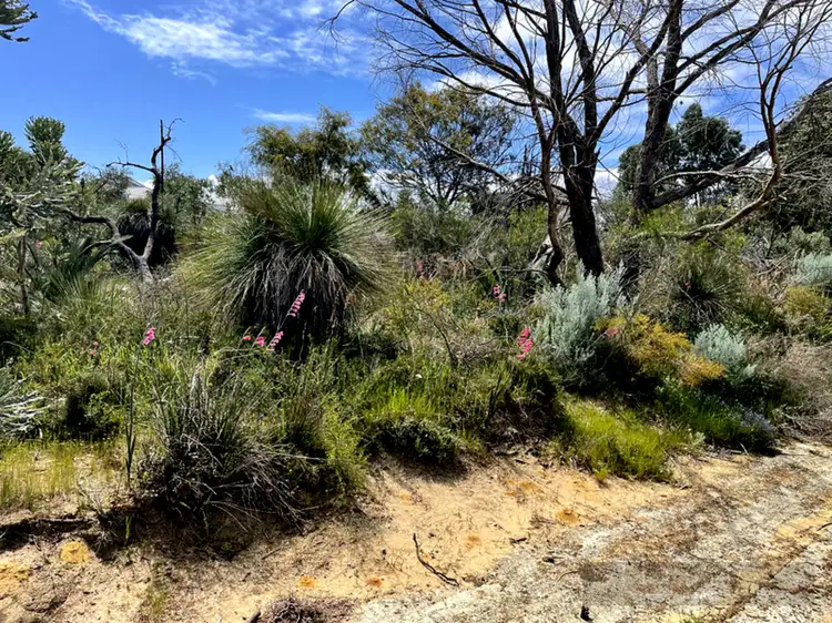 Fourth view of Homely house listing, 7 Windlass Way, Alkimos WA 6038