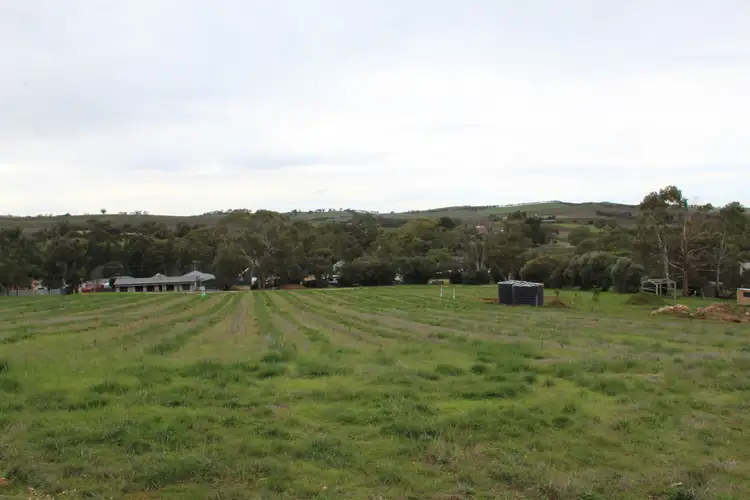Main view of Homely land listing, LOT 500 High Street, Leasingham SA 5452