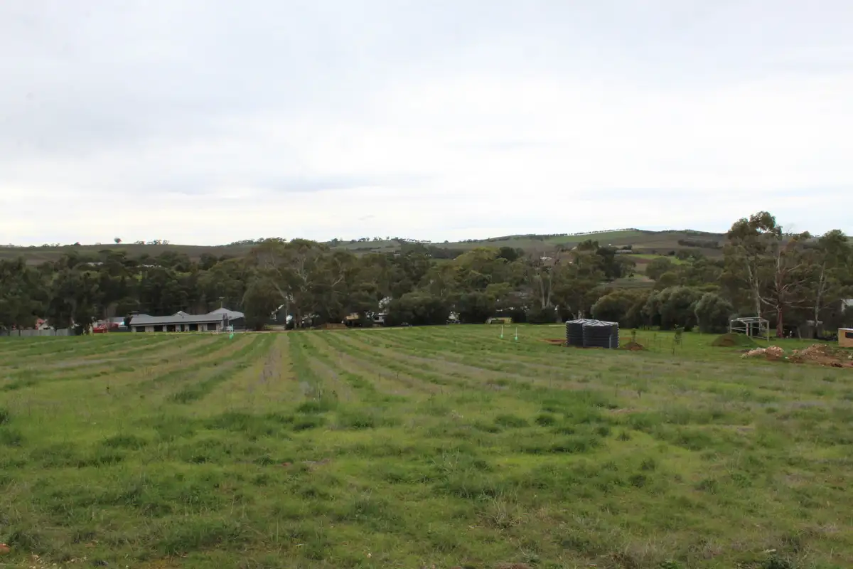 Main view of Homely land listing, LOT 500 High Street, Leasingham SA 5452