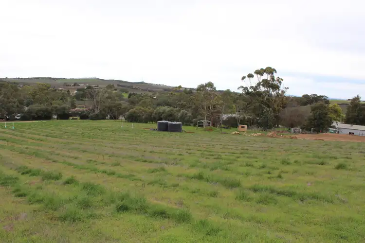 Fourth view of Homely land listing, LOT 500 High Street, Leasingham SA 5452