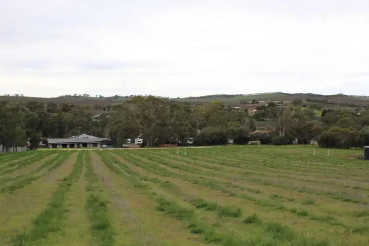 Fifth view of Homely land listing, LOT 500 High Street, Leasingham SA 5452