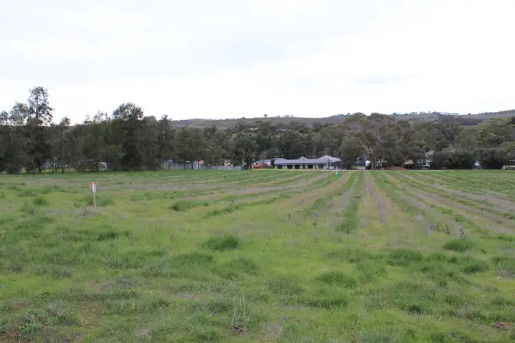 Sixth view of Homely land listing, LOT 500 High Street, Leasingham SA 5452