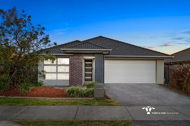 Main view of Homely house listing, 55 Tea Trees Avenue, Springfield Lakes QLD 4300