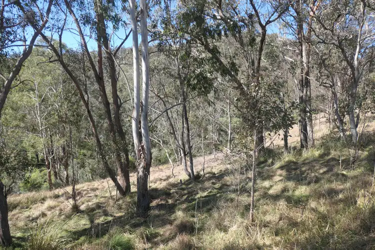 Sixth view of Homely rural property listing, 35 Snake Creek Road, Sandy Hill NSW 2372