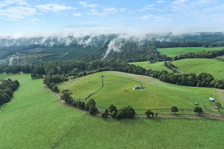 Second view of Homely rural property listing, 185 Old Colac Road, Beech Forest VIC 3237