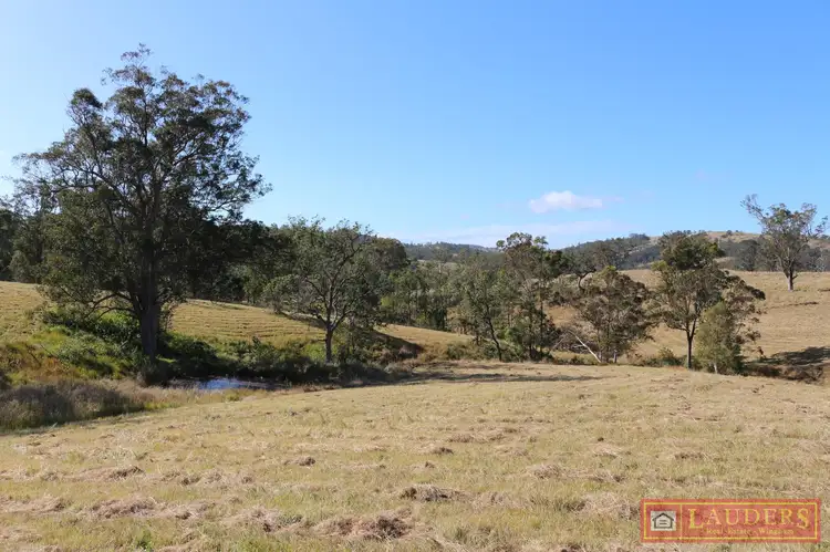 Seventh view of Homely land listing, 844 Wherrol Flat Road, Wherrol Flat NSW 2429
