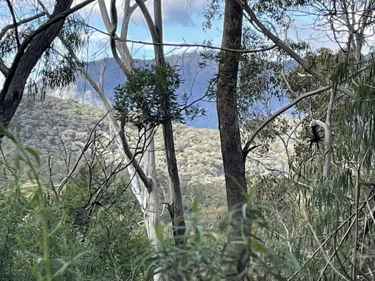 Main view of Homely rural property listing, LOT 85, 305 Big Jack Mountain Road, Burragate NSW 2550