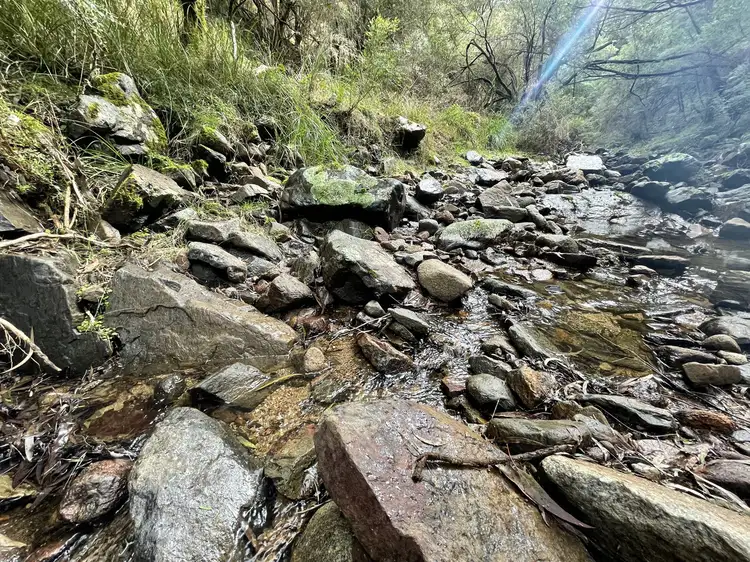 Second view of Homely rural property listing, LOT 85, 305 Big Jack Mountain Road, Burragate NSW 2550