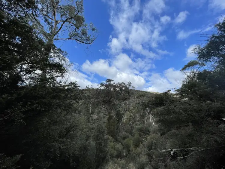 Sixth view of Homely rural property listing, LOT 85, 305 Big Jack Mountain Road, Burragate NSW 2550