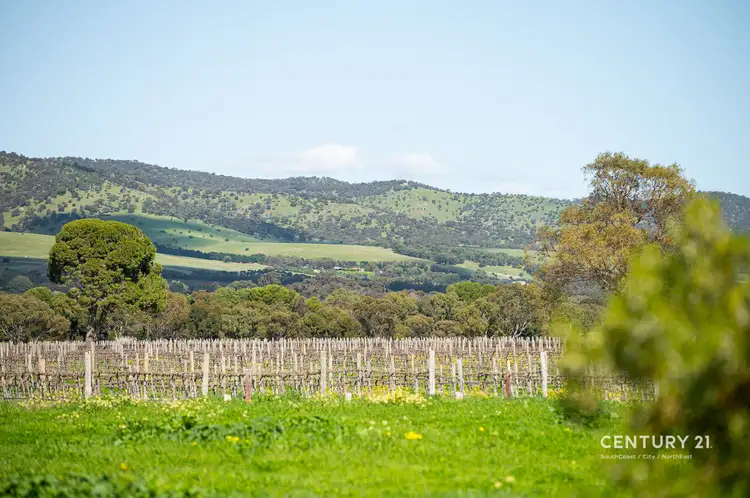 Third view of Homely rural property listing, 302 Colville Road, Sellicks Hill SA 5174