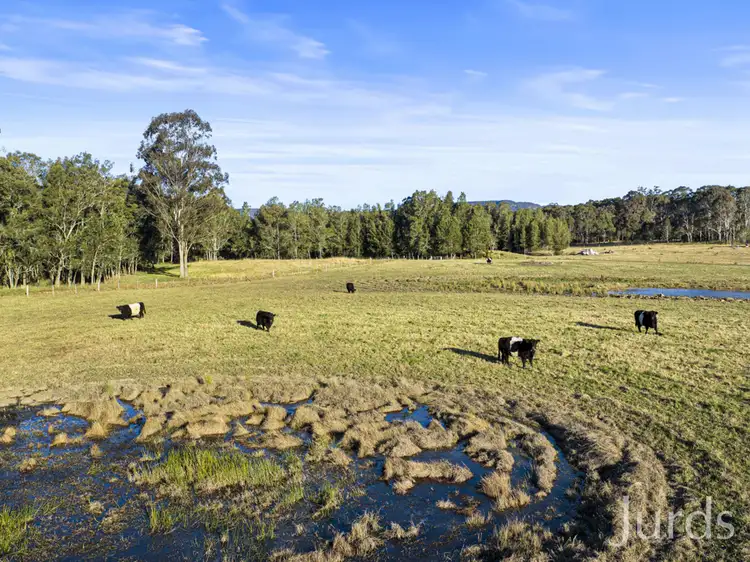Second view of Homely rural property listing, 345 Quorrobolong Road, Quorrobolong NSW 2325