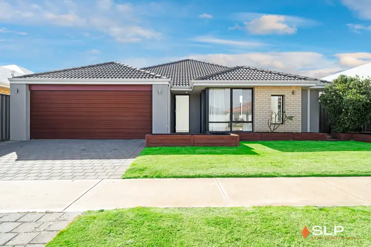 19 Echidna Street, Banksia Grove WA 6031