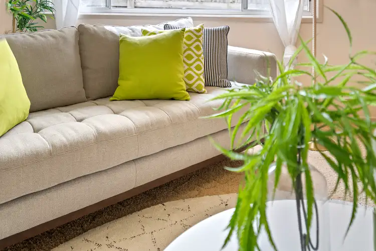 Sixth view of Homely house listing, 8 Light Street, Springwood QLD 4127