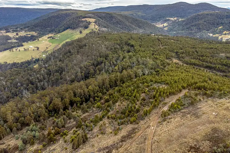 Moss Beds Road, Lachlan TAS 7140
