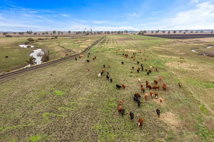 Fourth view of Homely rural property listing, 250 Clifton Leyburn Road, Kings Creek QLD 4361