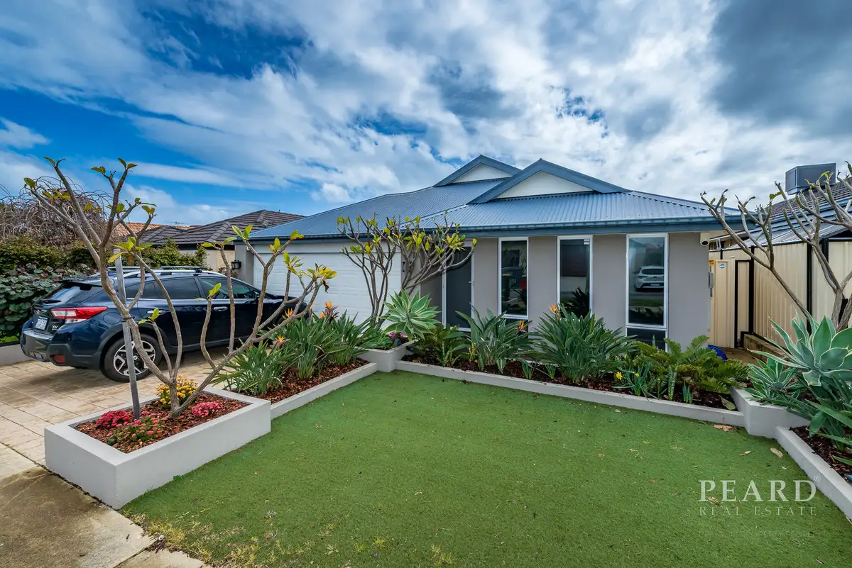 Main view of Homely house listing, 25 Grandoak Drive, Clarkson WA 6030