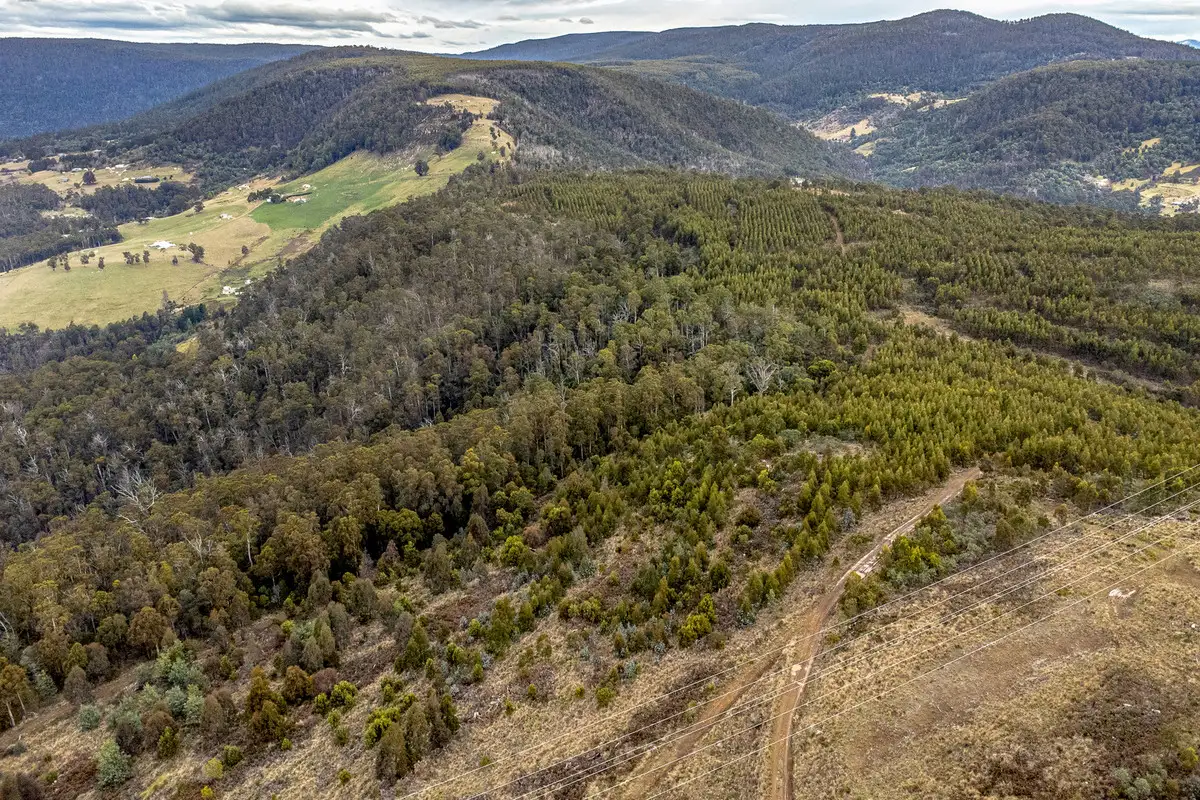 Main view of Homely land listing, Moss Beds Road, Lachlan TAS 7140