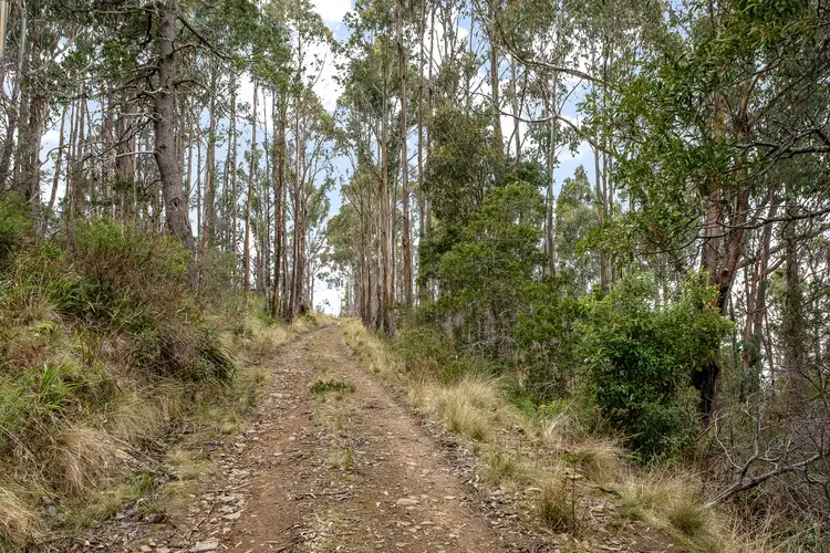 Third view of Homely land listing, Moss Beds Road, Lachlan TAS 7140