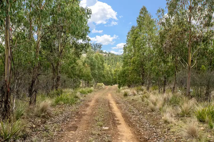 Fourth view of Homely land listing, Moss Beds Road, Lachlan TAS 7140