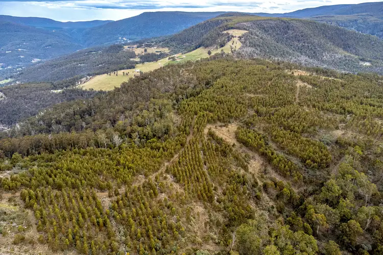 Seventh view of Homely land listing, Moss Beds Road, Lachlan TAS 7140