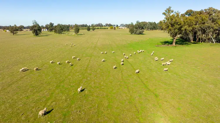 Main view of Homely rural property listing, 977 Back Barooga Road, Boomanoomana NSW 2712