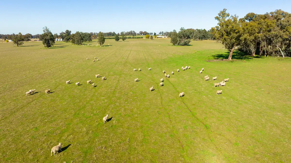 Main view of Homely rural property listing, 977 Back Barooga Road, Boomanoomana NSW 2712