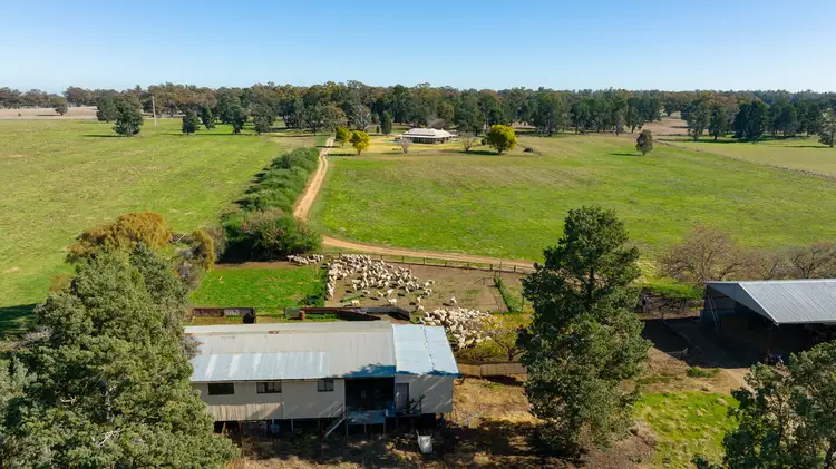 Fourth view of Homely rural property listing, 977 Back Barooga Road, Boomanoomana NSW 2712