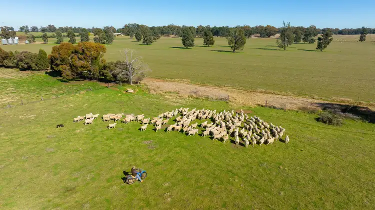 Sixth view of Homely rural property listing, 977 Back Barooga Road, Boomanoomana NSW 2712