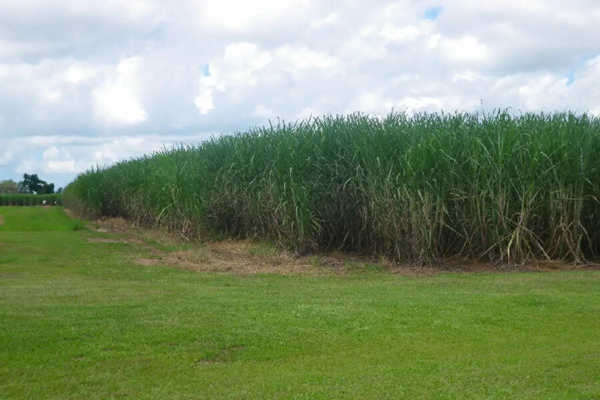 Main view of Homely rural property listing, Lot 3 Scotts Road, Lannercost QLD 4850